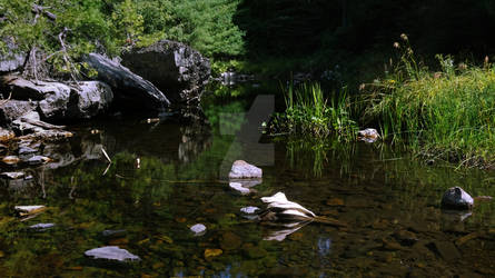 North Frontenac Pond