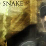 Old Snake