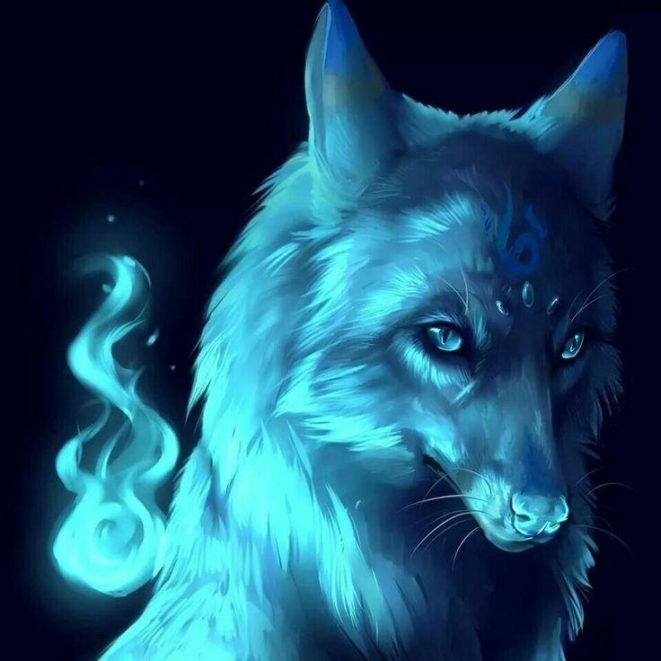 Fire Wolf by GalaxyPotato16 on DeviantArt