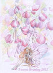 Fuchsia Fairy sketch by JoannaBromley