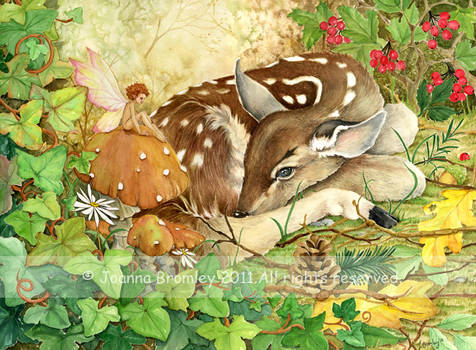 Resting Fawn