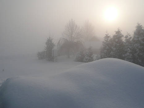 Polish winter