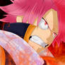 Natsu Fairy Tail