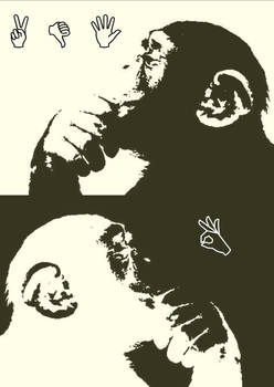 monkeys moods