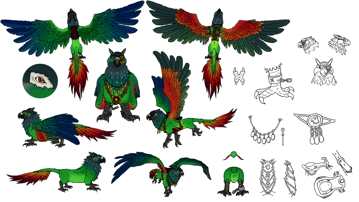 Pyrrhura Griffin concept by JeMiChi