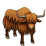 Yak