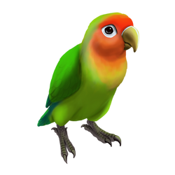 Rosy-faced Lovebird by JeMiChi