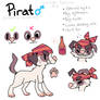 Pirat Ref Sheet 2013