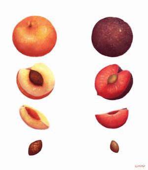 peach or plum?