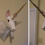 Unicorn Taxidermy