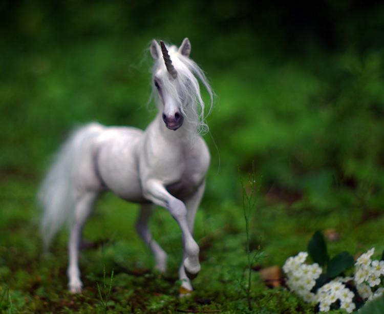 Dappled Unicorn Mare I