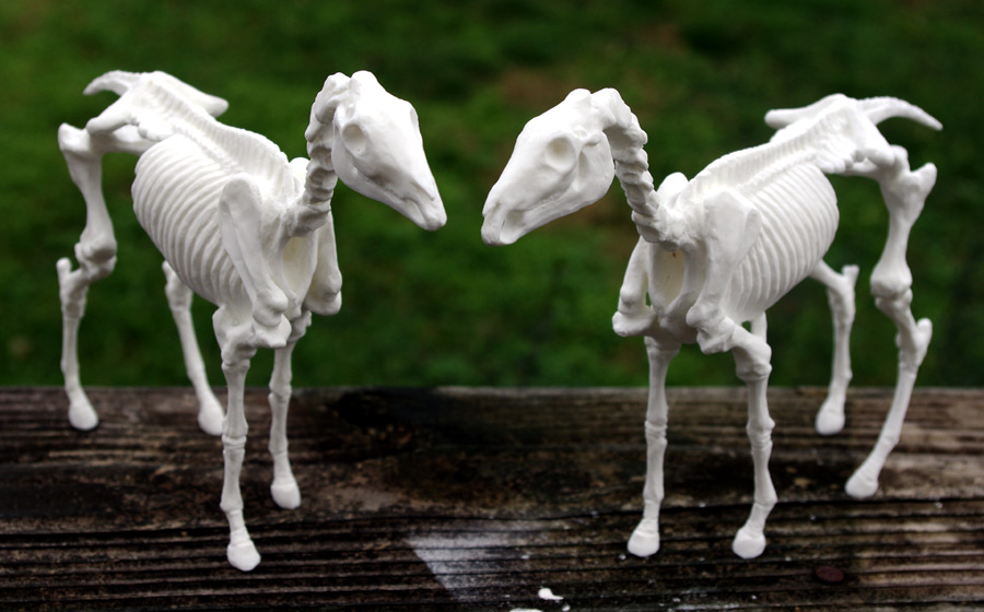 Resin Horse Skeleton III