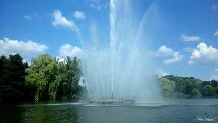 Water Fountain 4