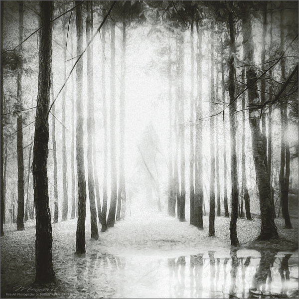 Dreamland XVII by Menoevil