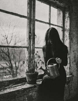 Watering grief