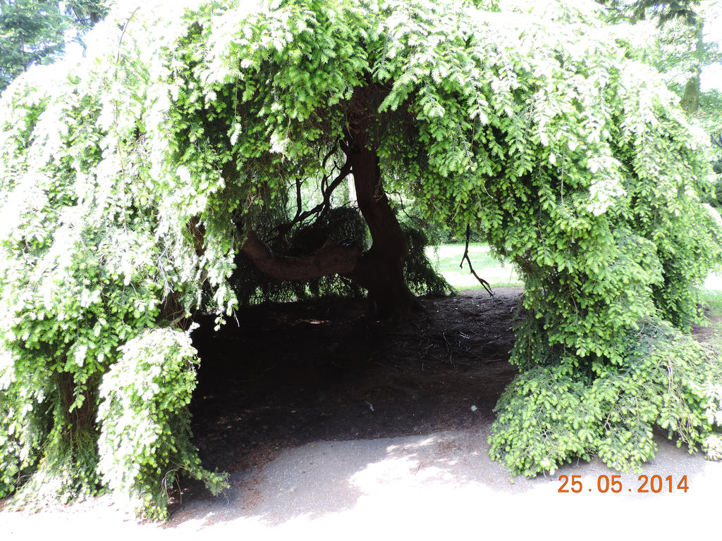 Hidden Tree by Deeledit on DeviantArt