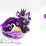 Violet Oriental Cayo Dragon