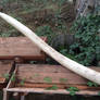 Skyrim: Mammoth Tusk Prop