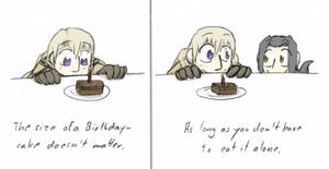 APH - cakesize