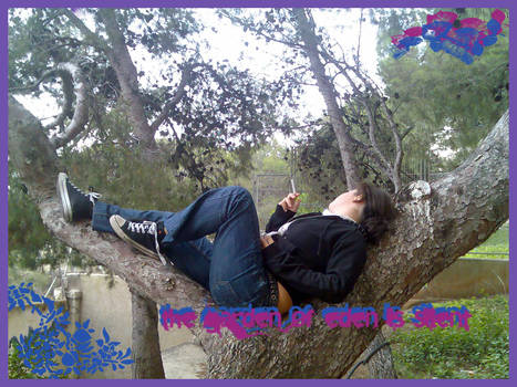 Me in a Tree