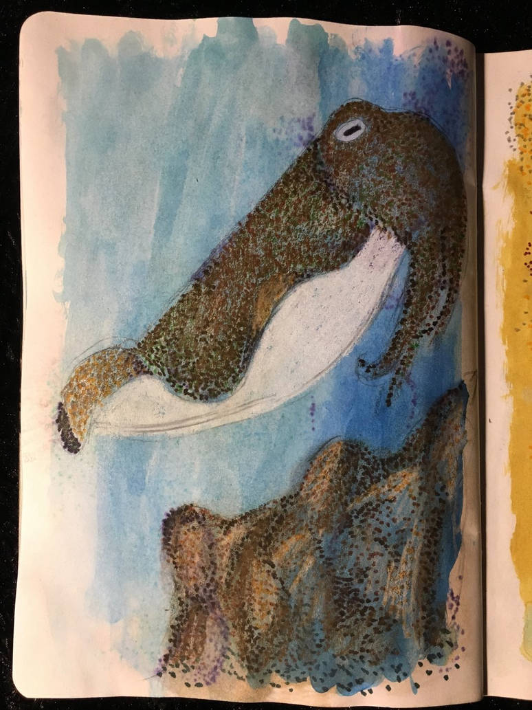 Cuddle Fish F Cuddle fish by swolfarts on DeviantArt