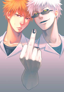 [Bleach/Ichigo Kurosaki]