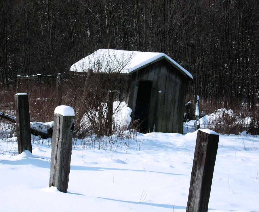 A Shed In Winter