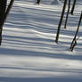 Stripes on Snow