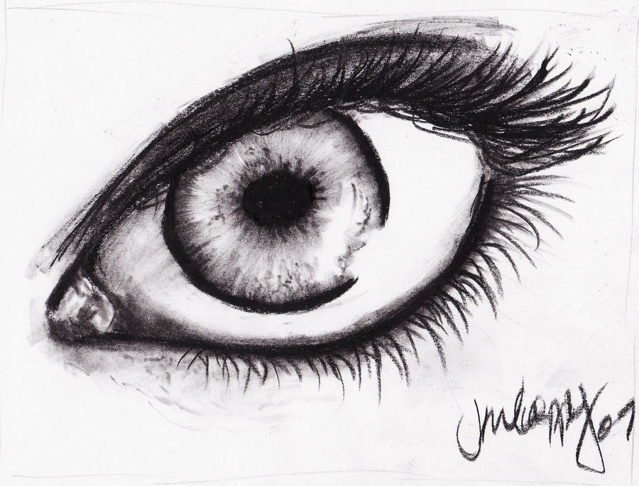 Eye Study Conte