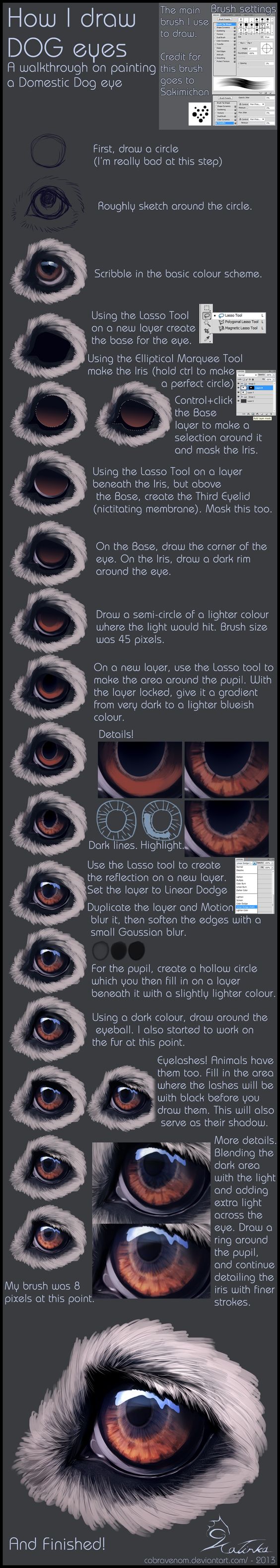 Canine Eyes Tutorial