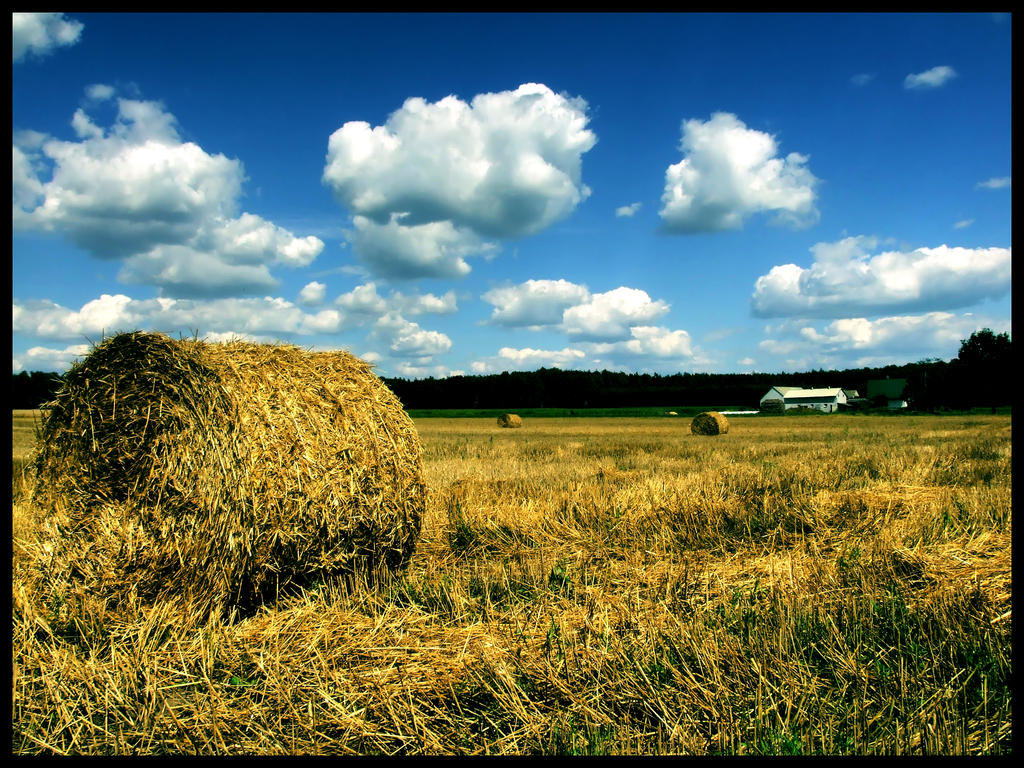 Haystack II by Body-Jack on DeviantArt