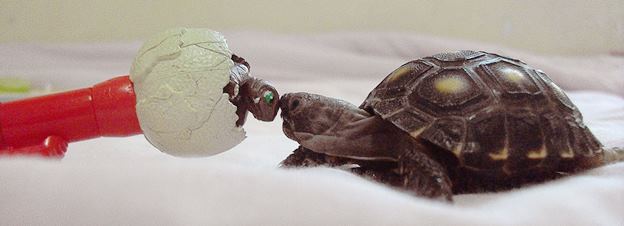 Why, hello there!