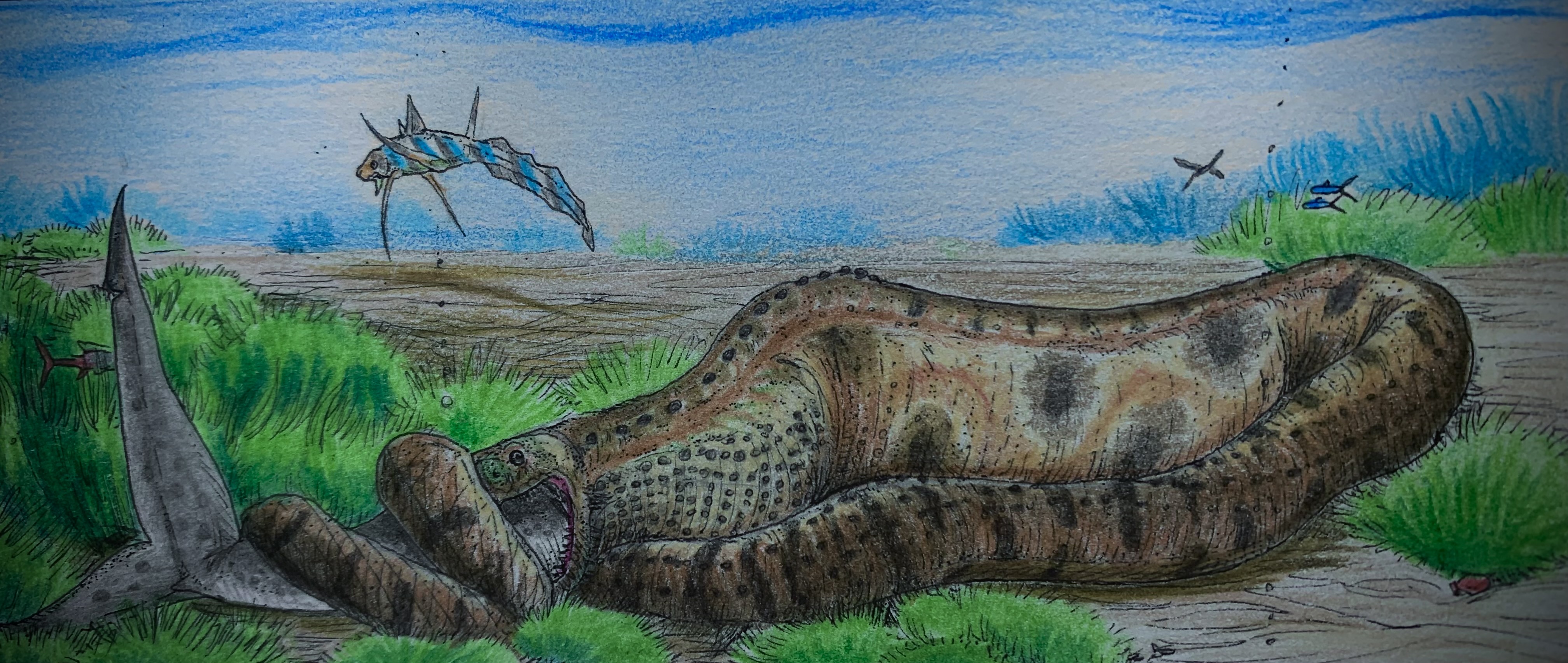 Python Constriction Deviantart Realistic Adens century python. by TheSpeculator21 on DeviantArt