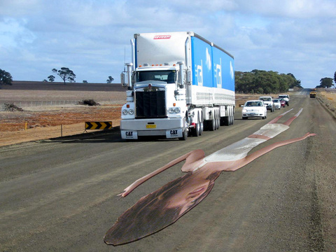 stretched on the road