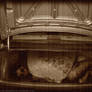Decaying