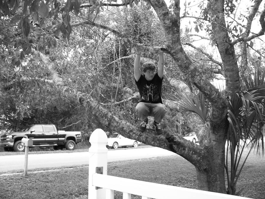 ethan climbs trees by dr-shambahdah3 on DeviantArt