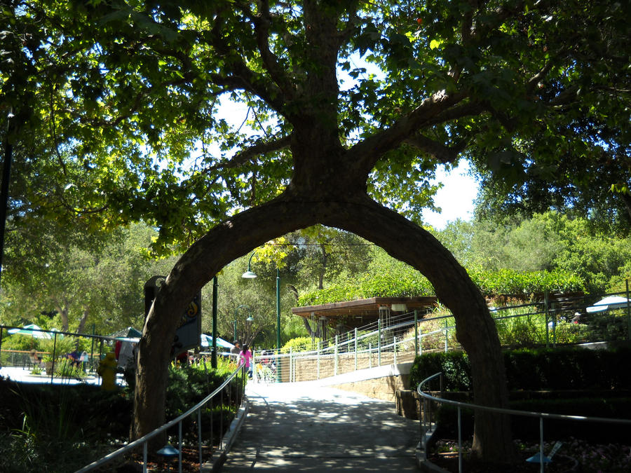 Circus Tree By R Circus trees III by Mindslave24-7 on DeviantArt