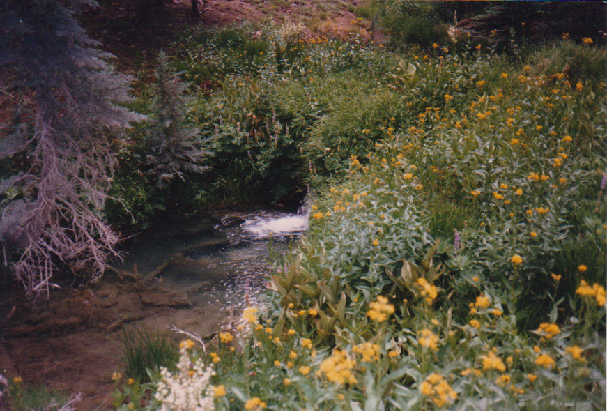 Liliputian Waterfall