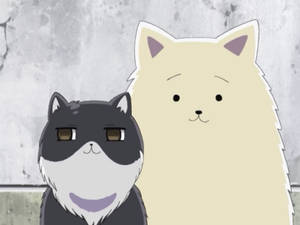 Yandere Father X Son Reader Lemon