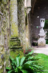 Ruins - Bretagne Beauport Abbaye