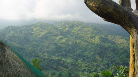 Cebu Mountains