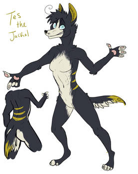 Tes the Jackal!