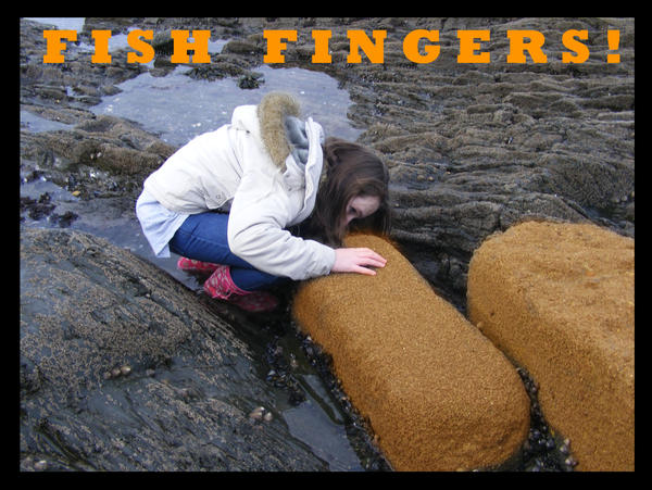 Giant Fish Fingers. by TrulyInspired475 on DeviantArt