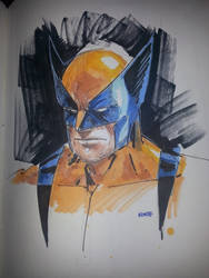 Wolverine Lee Kohse