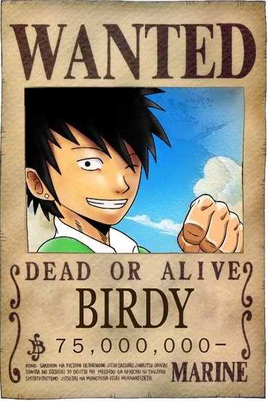 One Piece Wanted Poster By Ibird On Deviantart One Piece Wanted Poster By Ibird On Deviantart