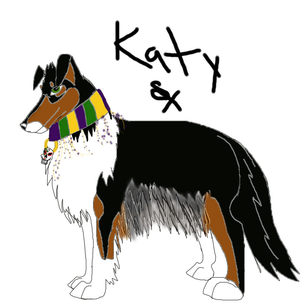 Katy The Collie Dog