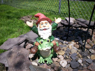 Scary Gnome On A Frog