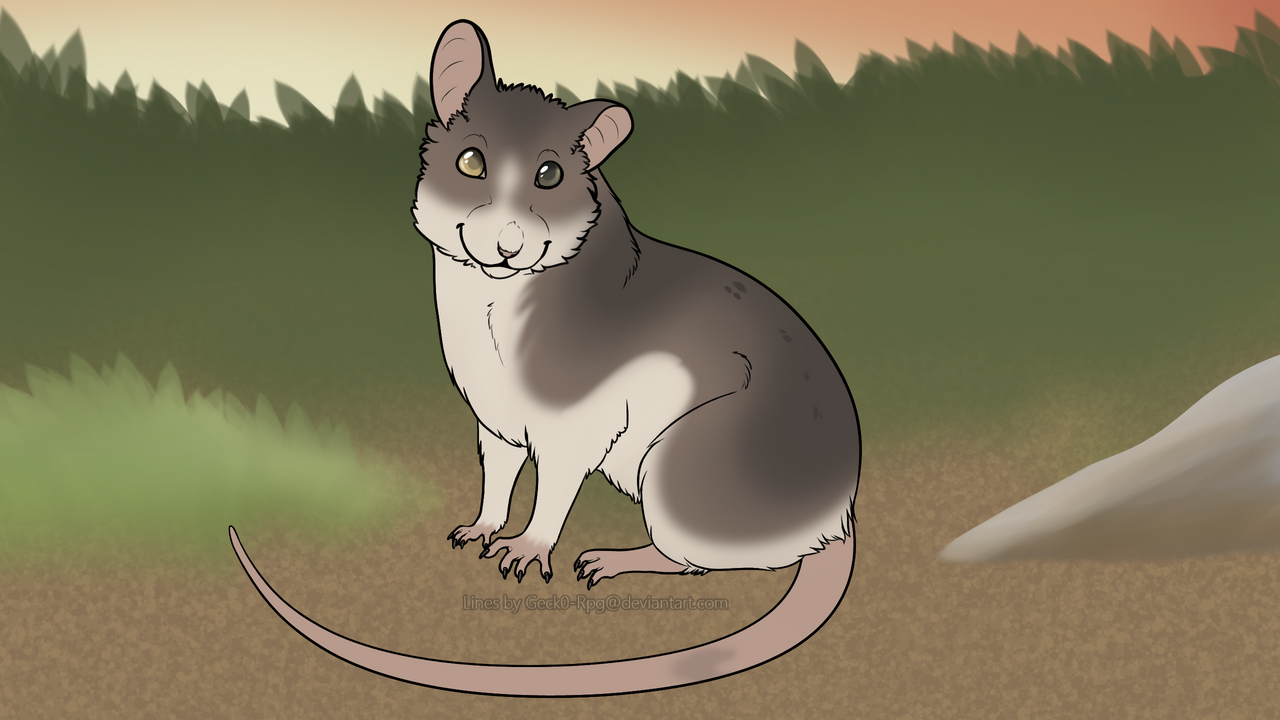 Todd - 010 by Rat-Stash on DeviantArt