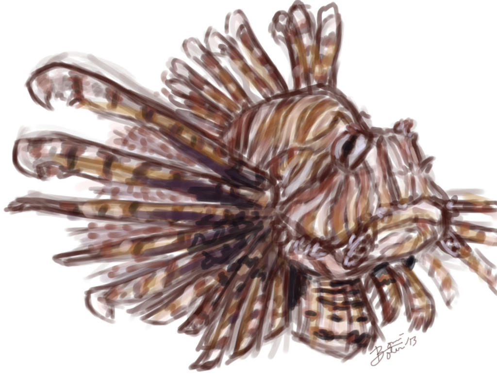 Lion Fish