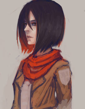 practice with mikasa